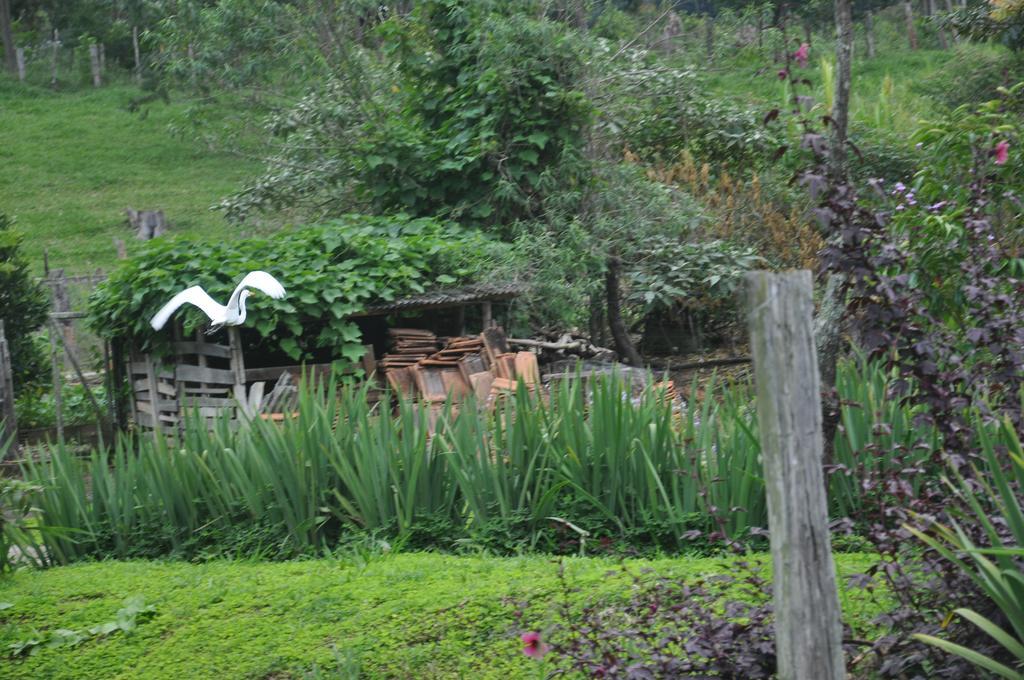 Eco Pousada Eldorado Lumiar Bagian luar foto