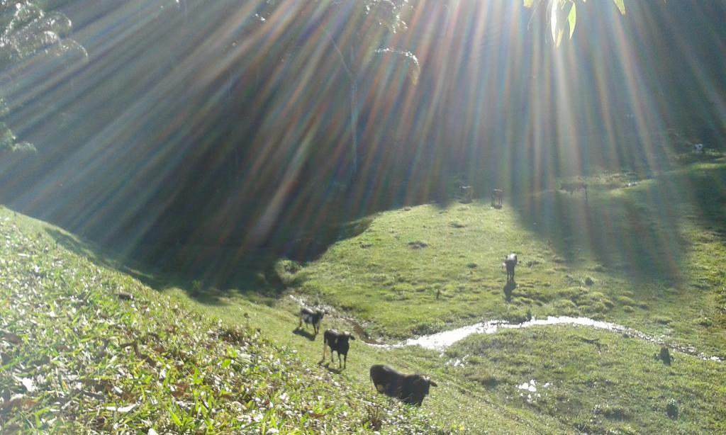 Eco Pousada Eldorado Lumiar Bagian luar foto